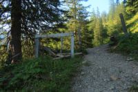 2015-07-01_2Drijaggenalm (250).JPG
